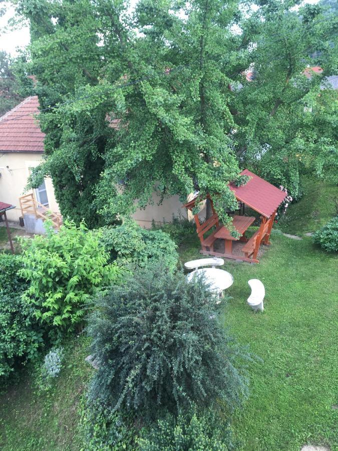 Bogoly Apartman Токай Экстерьер фото