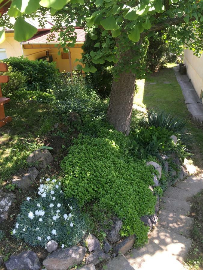 Bogoly Apartman Токай Экстерьер фото